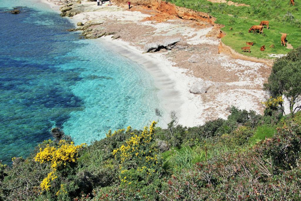 Agriturismo S'Arxola Villa Teulada Dış mekan fotoğraf